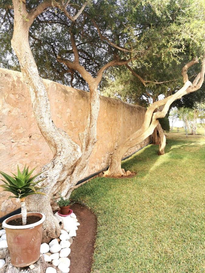 Maison Mimosa, Lovely 3 Bedroom Villa With A Large Pool Essaouira Exterior photo