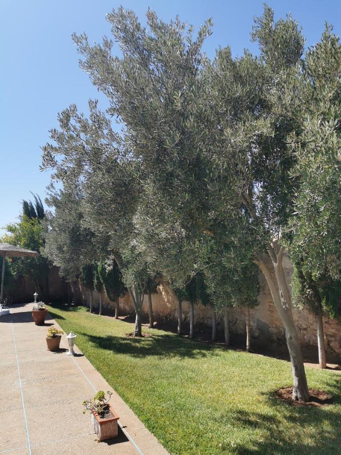 Maison Mimosa, Lovely 3 Bedroom Villa With A Large Pool Essaouira Exterior photo