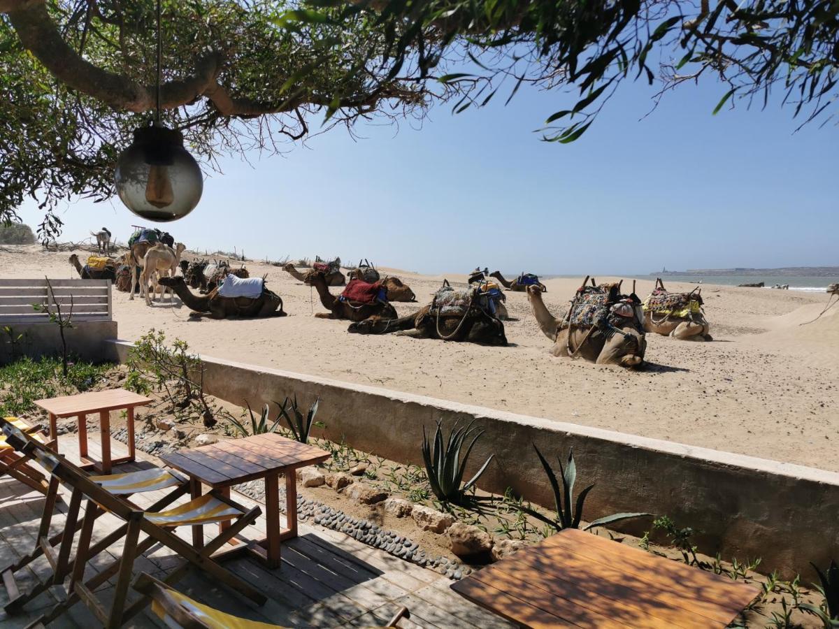Maison Mimosa, Lovely 3 Bedroom Villa With A Large Pool Essaouira Exterior photo